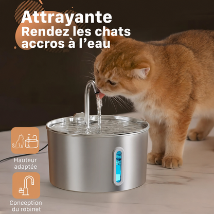 2.2L Fountain