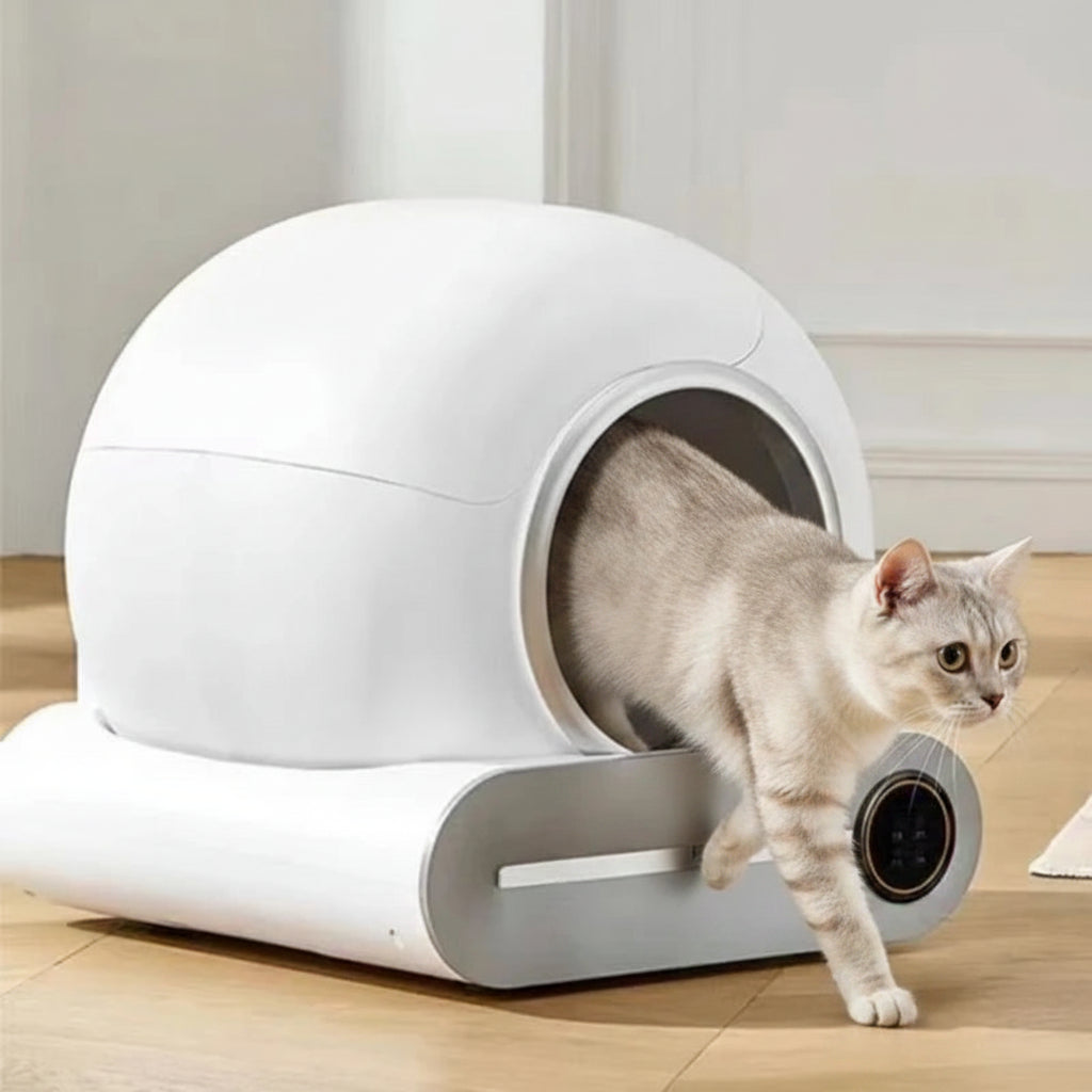 Litière Automatique Intelligente Connectée